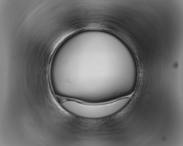 X0000108480855200904241258