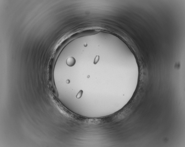 X0000108480858200904241258