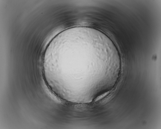 X0000108480859200904241258