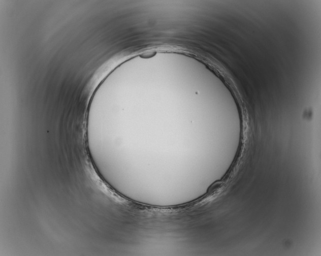 X0000108480860200904241258