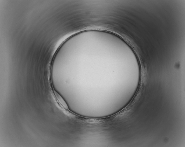 X0000108480862200904241258