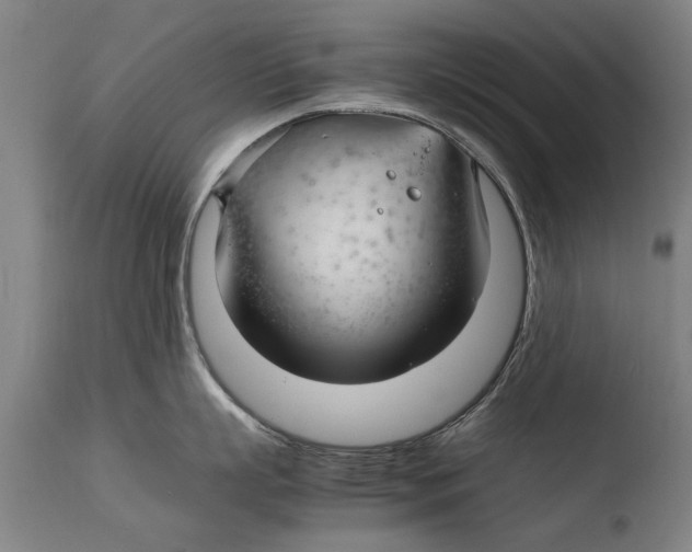 X0000108480863200904241258