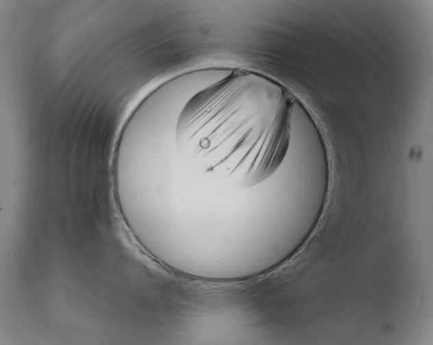 X0000108480864200904241258