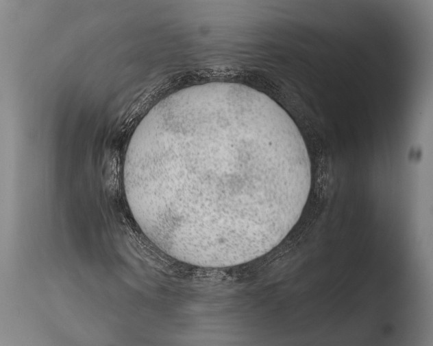 X0000108480866200904241257