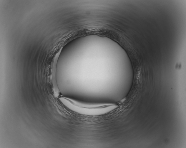 X0000108480868200904241257