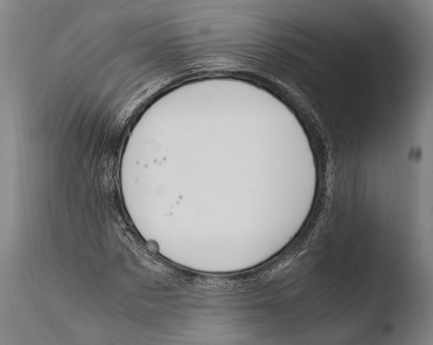 X0000108480873200904241257