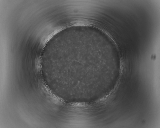 X0000108480874200904241257