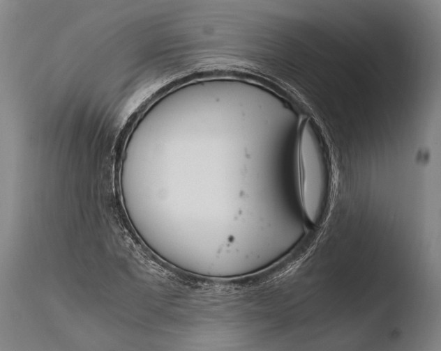 X0000108480877200904241257