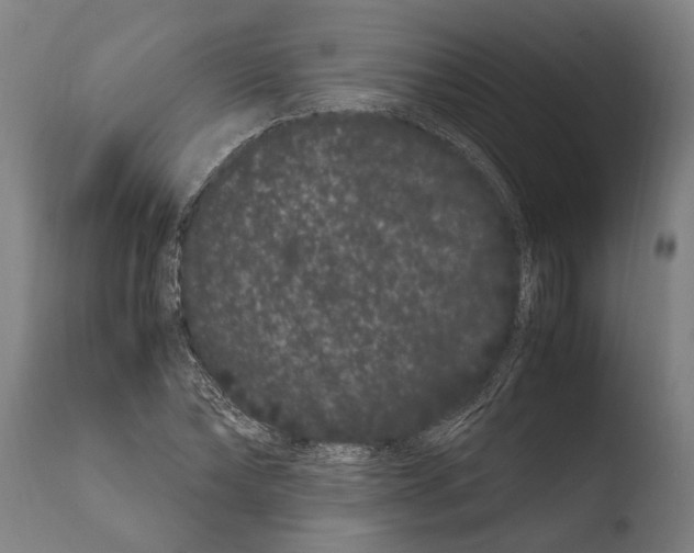 X0000108480878200904241257