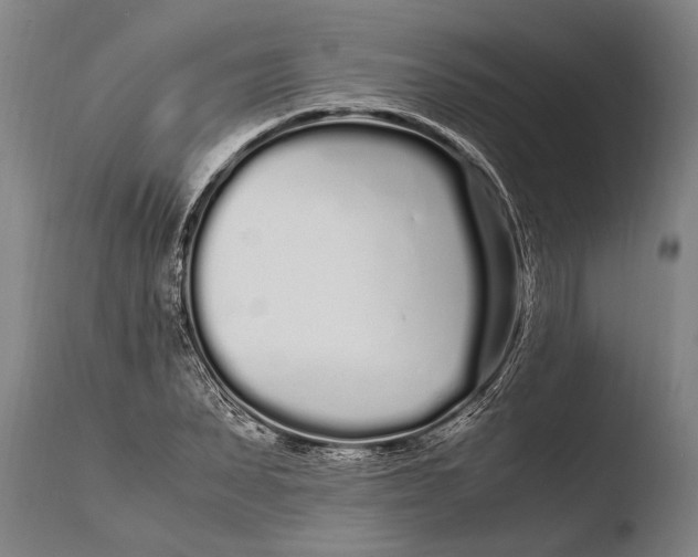 X0000108480879200904241257