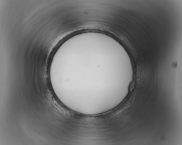 X0000108480880200904241257