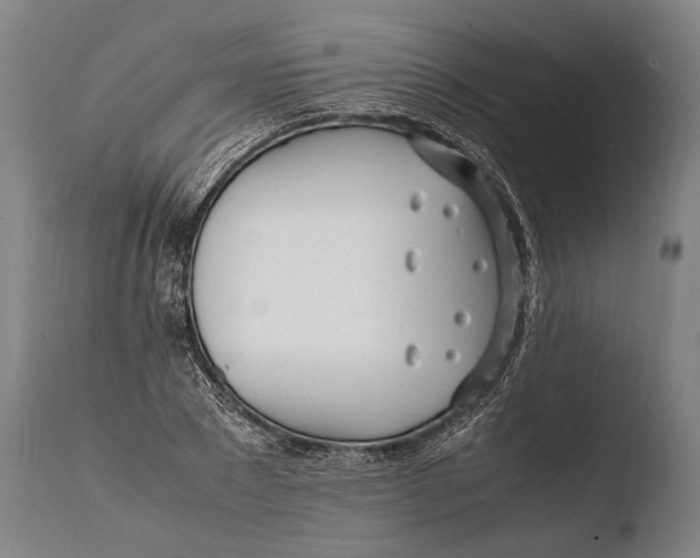 X0000108480881200904241257