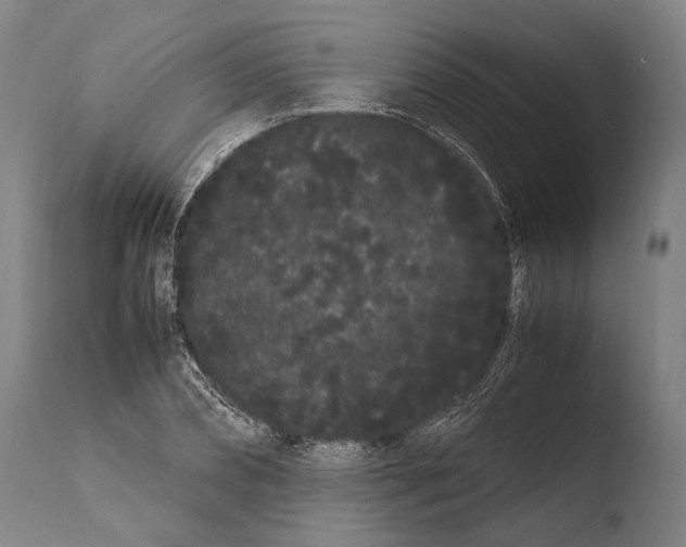 X0000108480882200904241257
