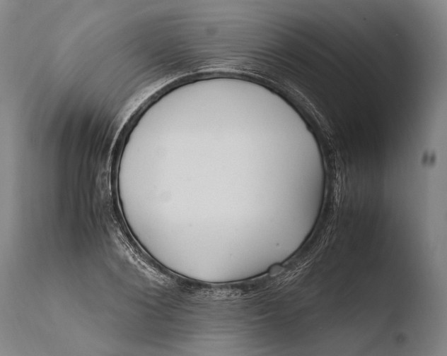 X0000108480884200904241257