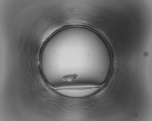 X0000108480885200904241257