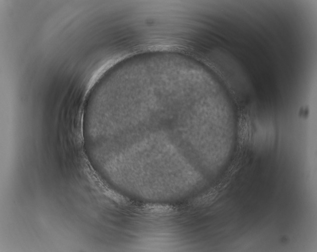 X0000108480886200904241257
