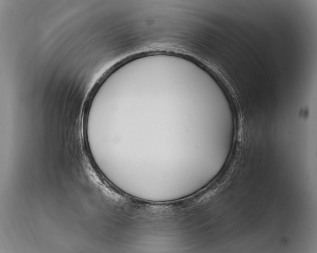 X0000108480888200904241257