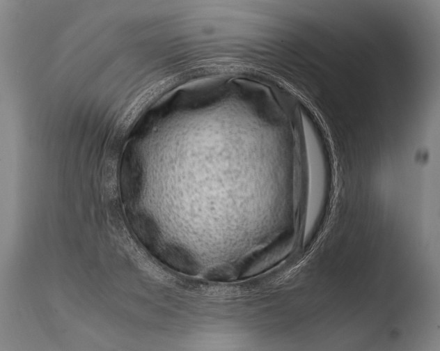X0000108480889200904241257