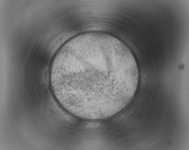 X0000108480890200904241257