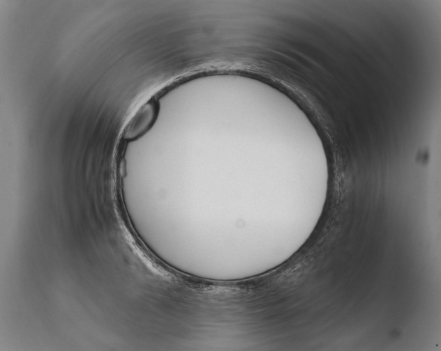 X0000108480894200904241257