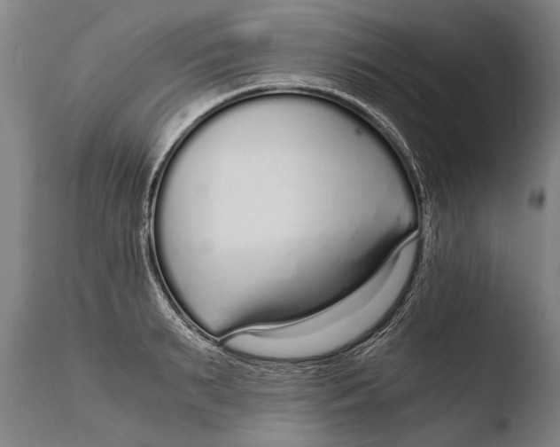 X0000108480895200904241257