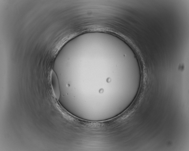 X0000108480897200904241257