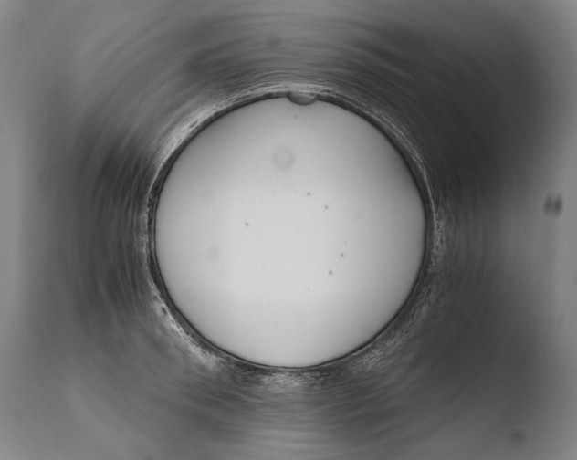 X0000108480898200904241257
