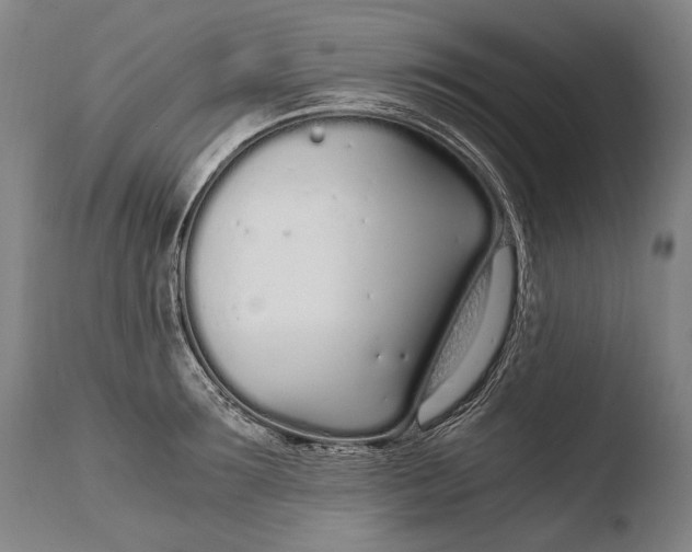 X0000108480899200904241257