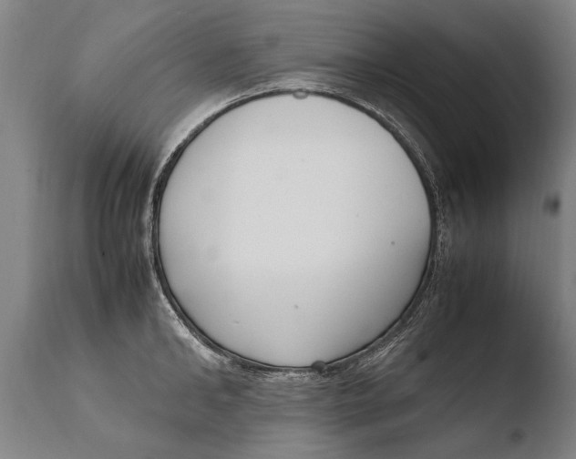 X0000108480902200904241257