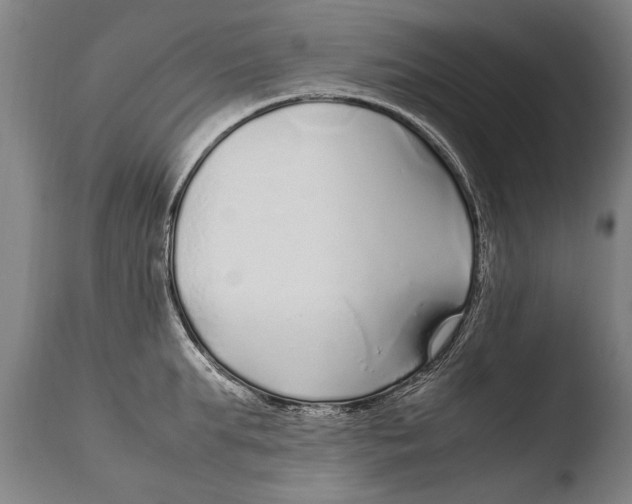 X0000108480903200904241257