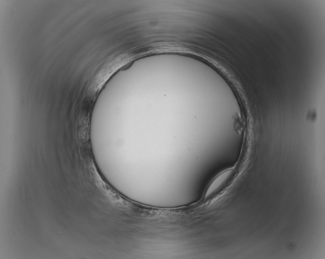 X0000108480905200904241257