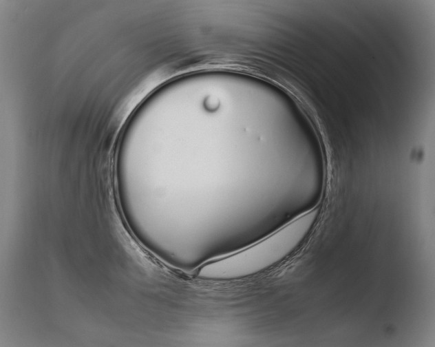 X0000108480907200904241257