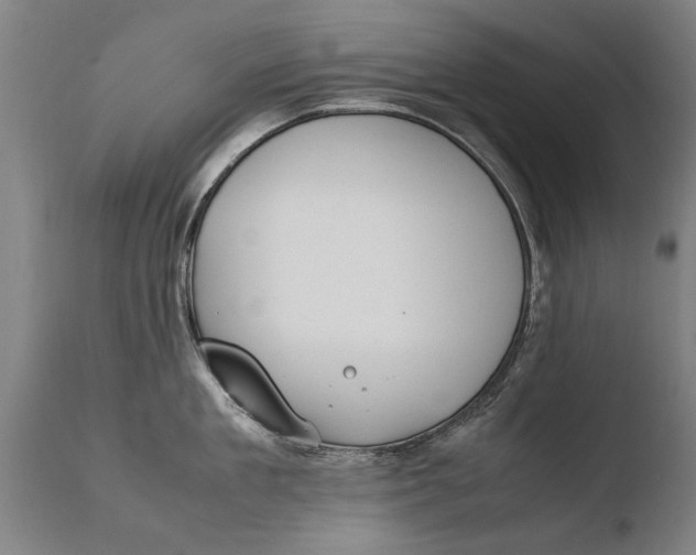 X0000108480909200904241257