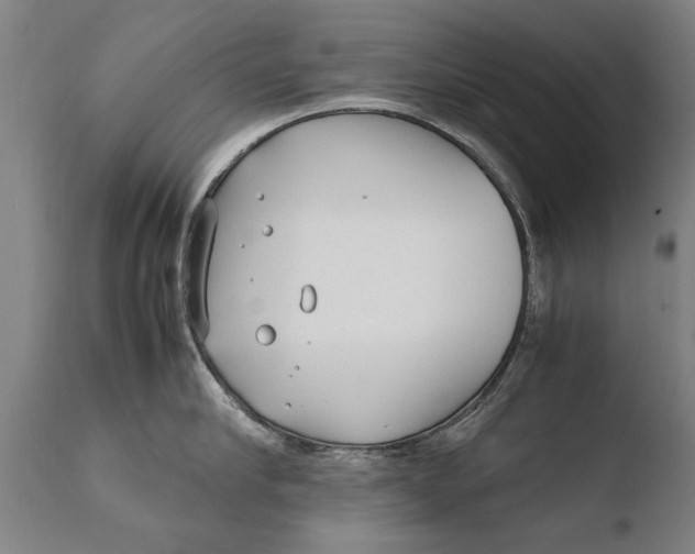 X0000108480910200904241257