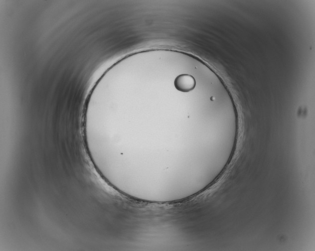 X0000108480912200904241257