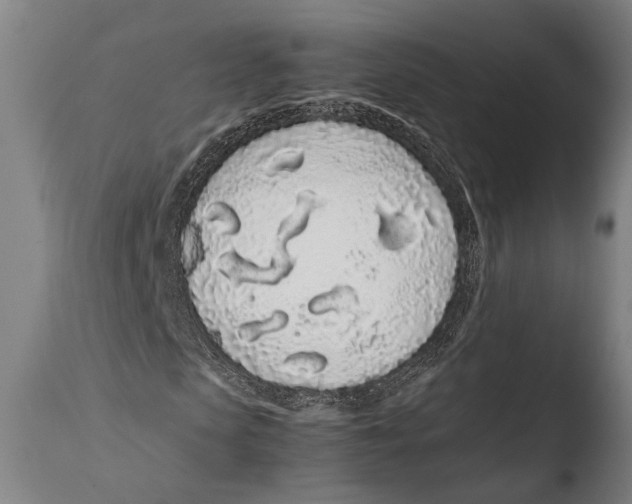 X0000108480913200904241256