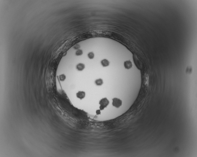 X0000108480915200904241256