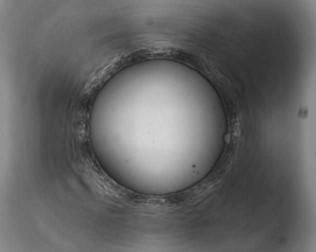 X0000108480916200904241256