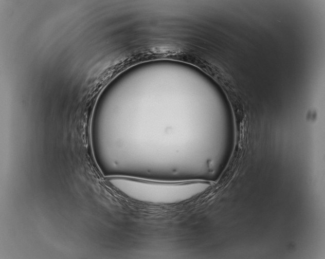 X0000108480917200904241256