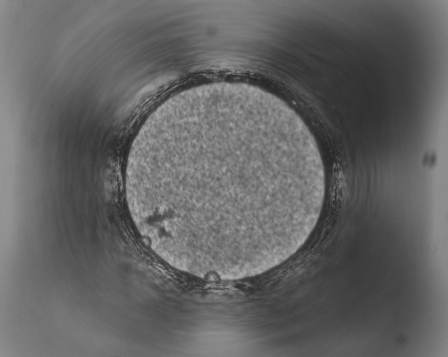X0000108480918200904241256