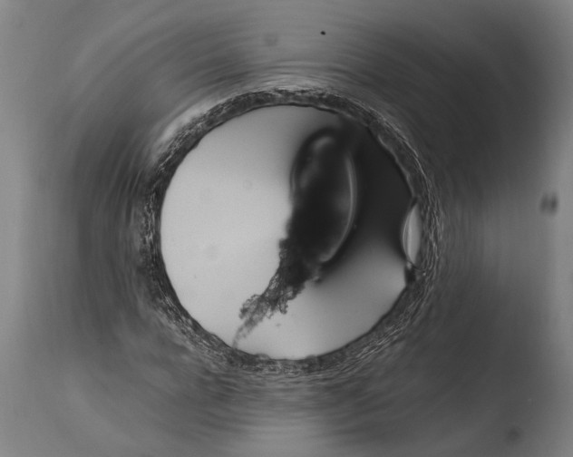 X0000108480920200904241256