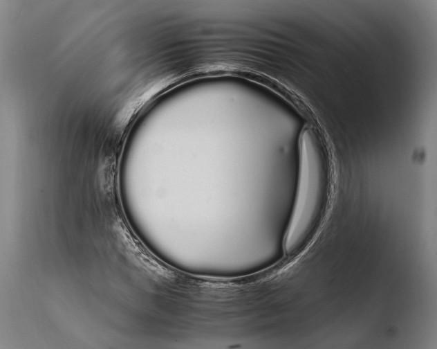 X0000108480921200904241256