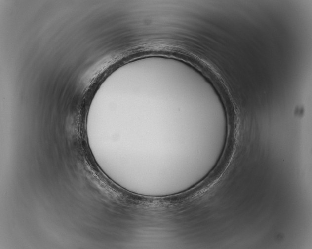 X0000108480922200904241256