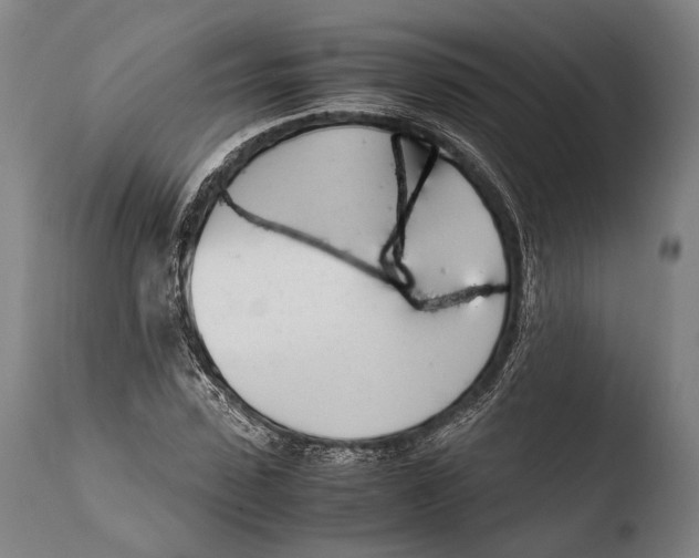 X0000108480923200904241256