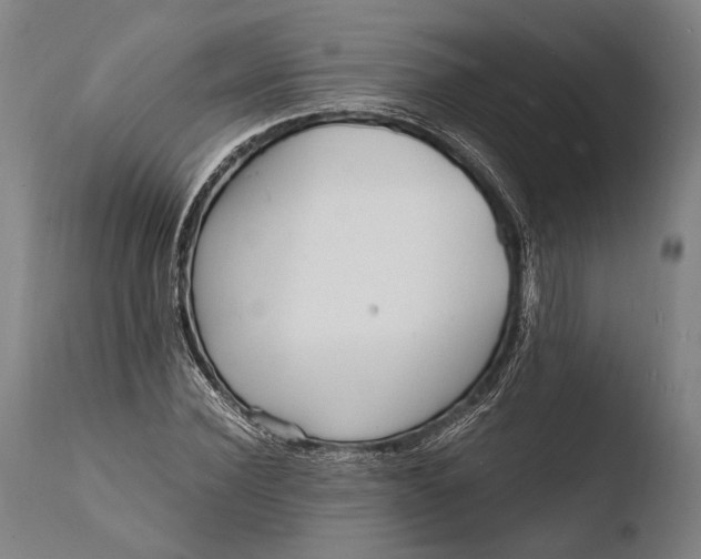 X0000108480924200904241256