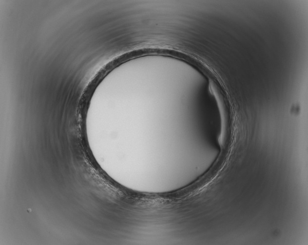 X0000108480926200904241256