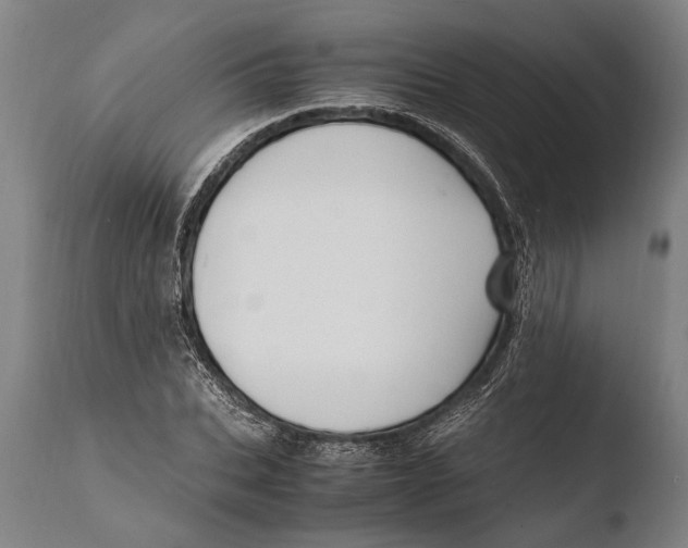 X0000108480927200904241256