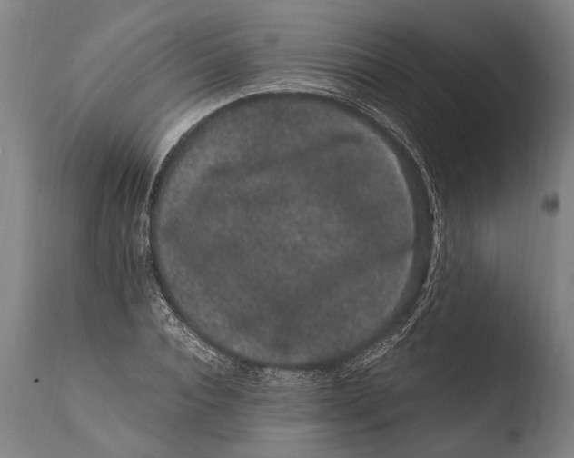 X0000108480928200904241256