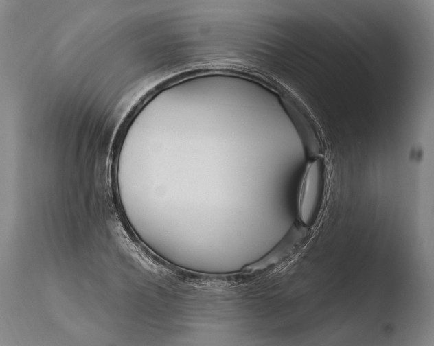 X0000108480932200904241256
