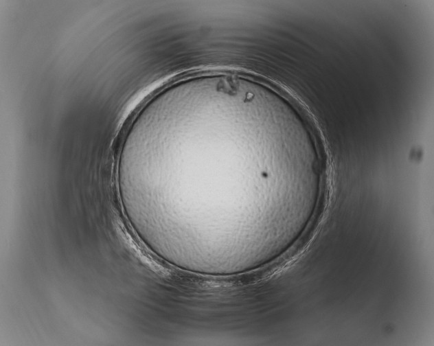 X0000108480933200904241256